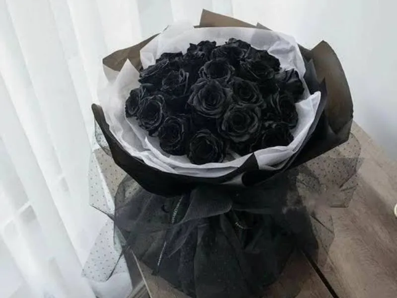 hoa hong den co y nghia gi giai ma bi an trong tinh yeu va cuoc song